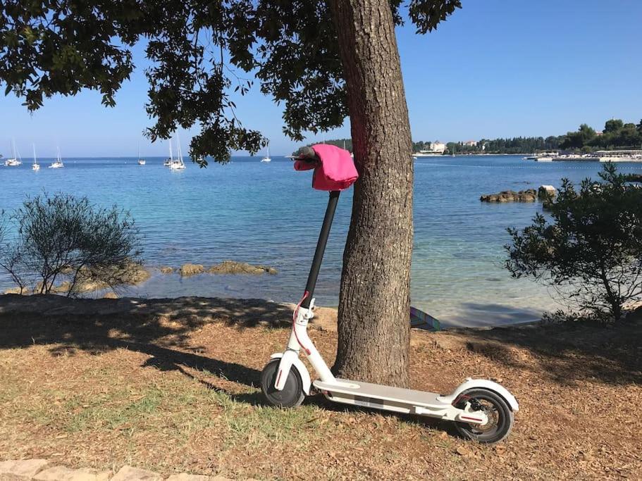 Apartment Capo D'Oro Rovinj Exteriör bild